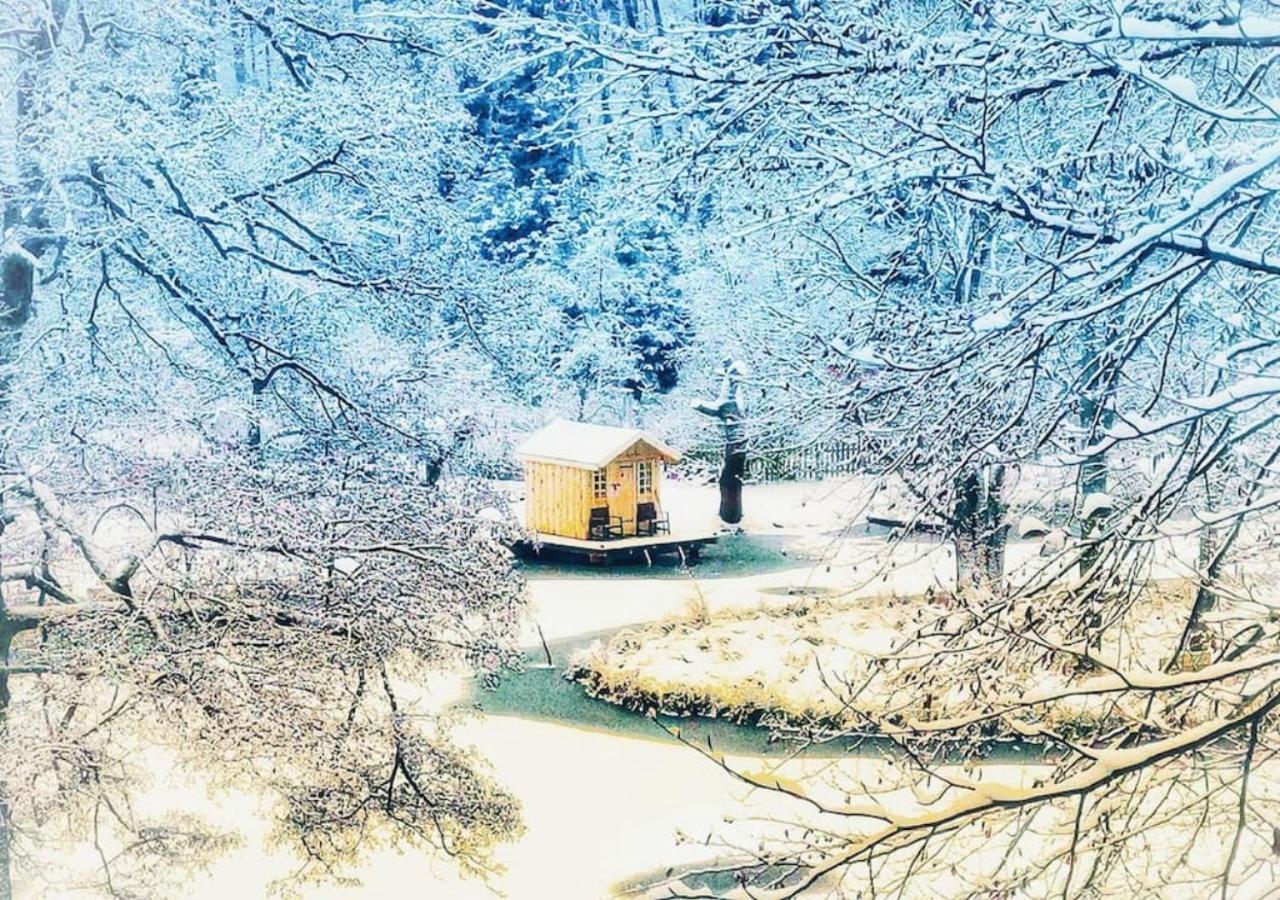 Ferienwohnung Papenmuehle Am Kurpark Бад-Фрайенвальде Экстерьер фото
